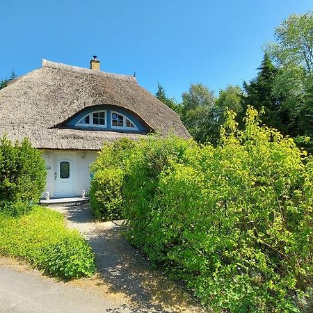 Ferienwohnung Im Uhlenhuus Wiek auf Rügen Dış mekan fotoğraf