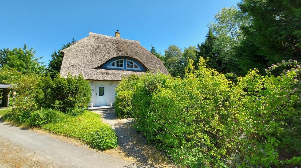 Ferienwohnung Im Uhlenhuus Wiek auf Rügen Dış mekan fotoğraf